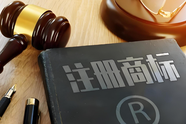 商標(biāo)駁回復(fù)審流程的注意事項(xiàng)有哪些？